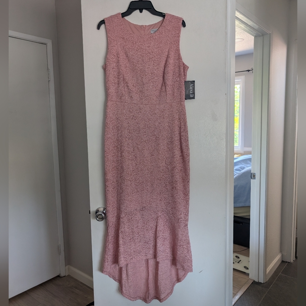 Size 14 Alexa B Nites New Dress
